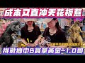 ［Niu媽一番賞］哥吉拉與金剛新帝國👉奢華改造|成本直衝天花板！抽中B賞就送黃金-1.0哥！我再送對戰組給大家|開箱黃金色哥吉拉|#一番賞 #一番くじ #盲盒 #哥吉拉 #ゴジラ