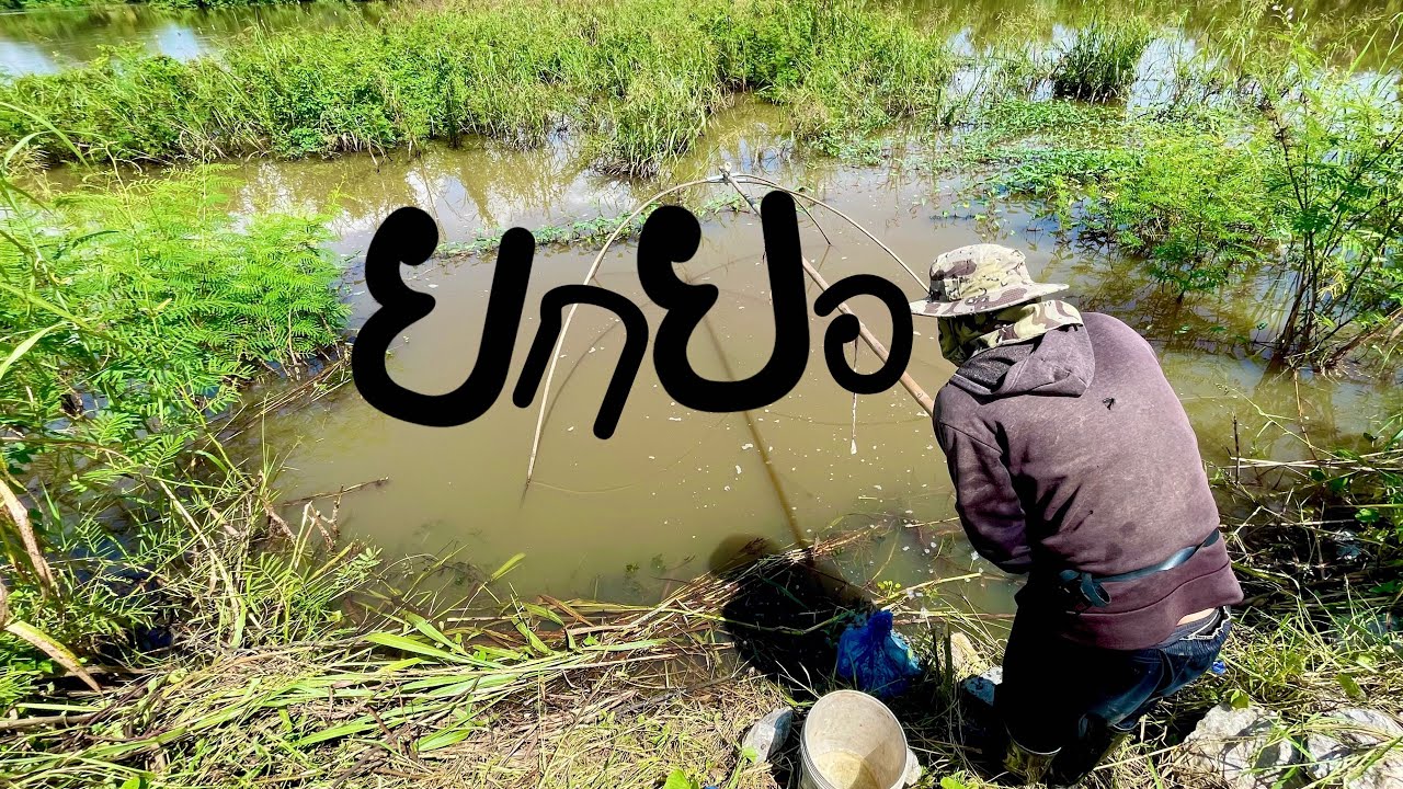 สุดๆ ไม่เคยเจอแบบนี้มาก่อน อะไรจะเยอะขนาดนี้