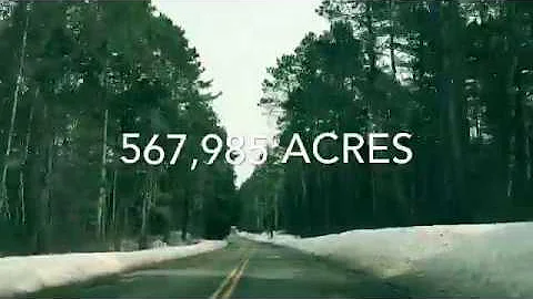 Koochiching State Forest