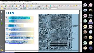 Skeletal Muscle Histology By Dr. Ahmed