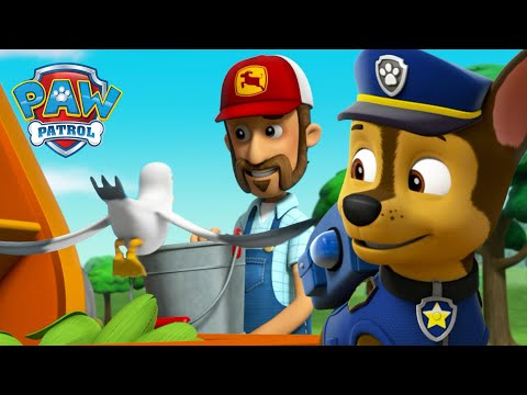 狗狗們從飢餓的鳥兒手中救出農夫艾爾的玉米倉！- PAW Patrol 汪汪隊立大功 - 兒童卡通