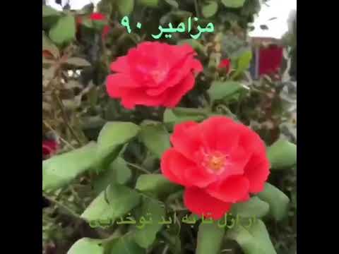 تصویری: مزمور 90: چرا آنها 40 بار می خوانند ، معنی متن