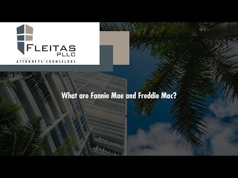 What are Fannie Mae and Freddie Mac?