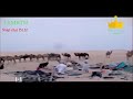 البدو الرحل اهل الحلال في السعودية قبل 70 سنه 