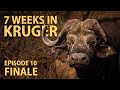 7 weeks in KRUGER - Lost in Kruger Episode 10 FINALE! (4K)