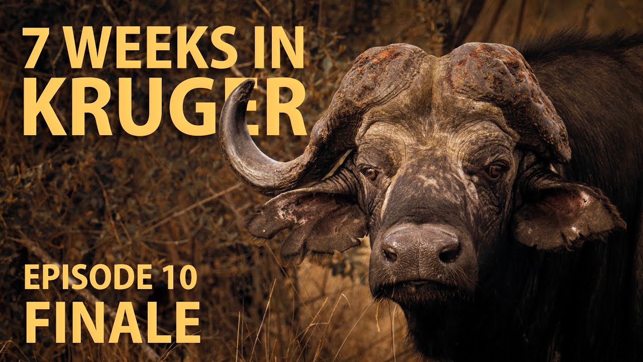 7 weeks in KRUGER - Lost in Kruger Episode 10 FINALE! (4K)