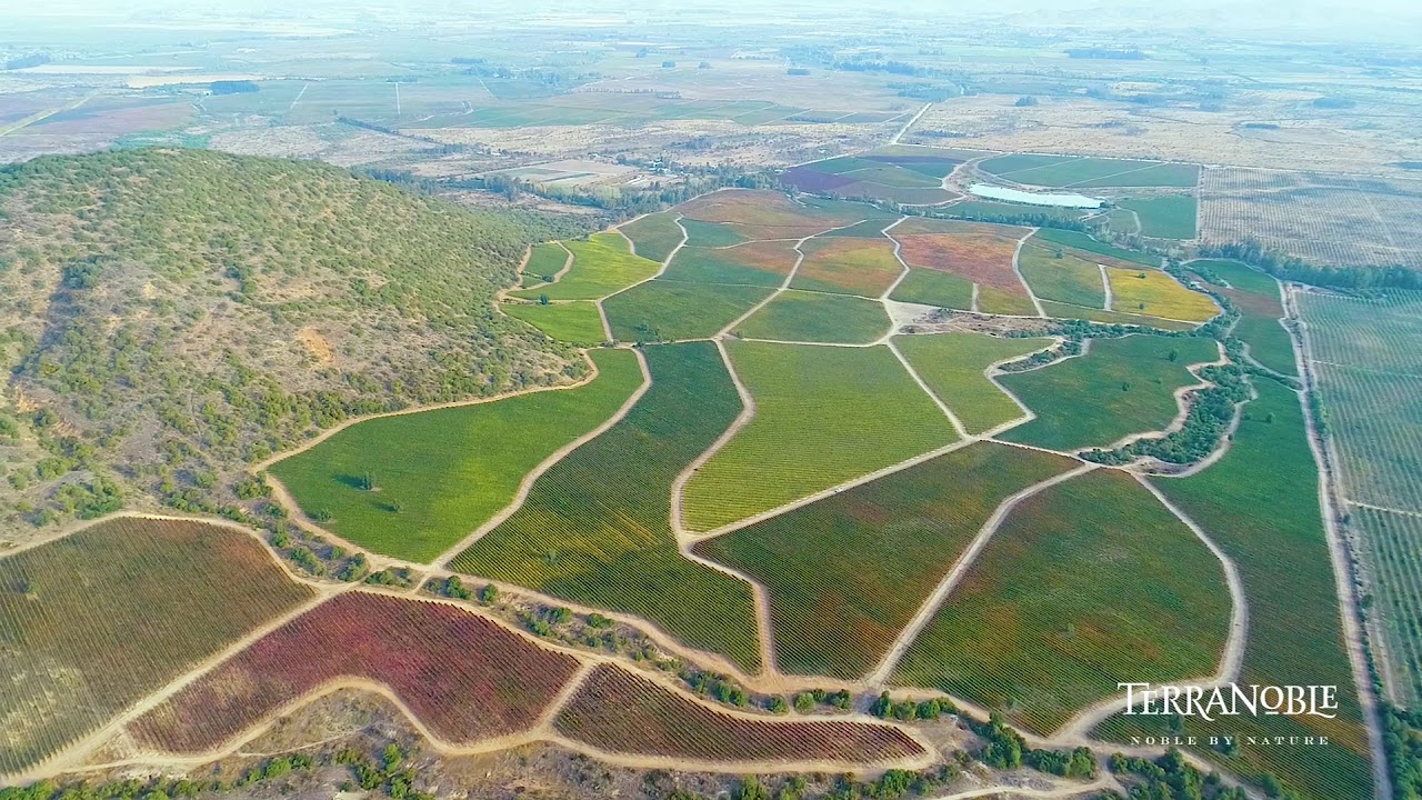 Terranoble Colchagua Valley
