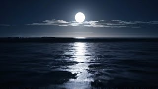 Silver Path | Moonlit Ocean — 1 Hour Relaxing Nature Ambience screenshot 4