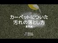 DIY｜カーペットの汚れを落とす方法（重曹編） RESTA