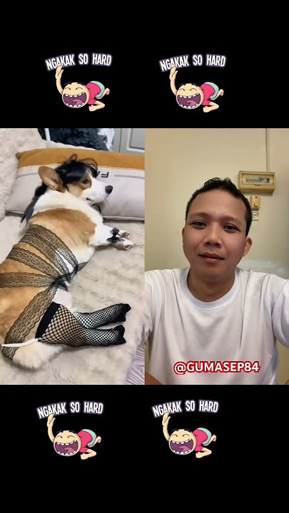 REACTION PART 11236 #remix #dj #music #lucu #duet #duetreaction #lucu_ngakak #funny #reaksilucu