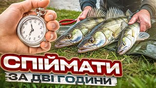 видео: Що і Скільки Можна Зловити за Дві Години на Дніпрі?! картинка: Що і Скільки Можна Зловити за Дві Години на Дніпрі?!