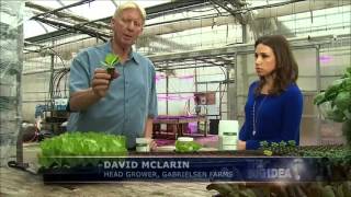 Hydroponic Farming