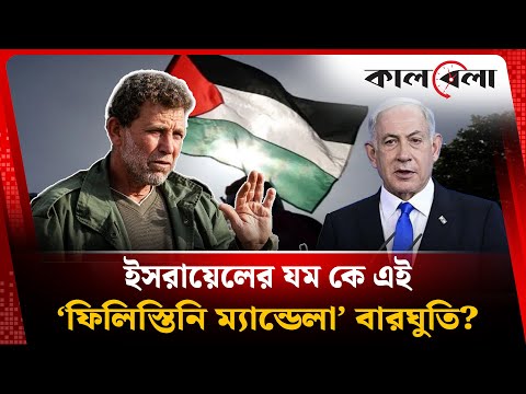 Tukli jojalar fotosuratlari