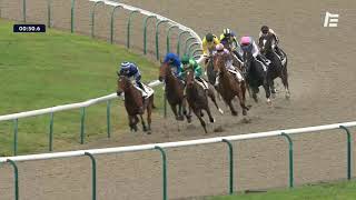 Vidéo de la course PMU PRIX DE LA CROIX MARQUET