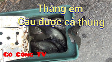 câu cá ,không thể tin nổi ,điểm câu bí hiểm thả xuống là giật| GÒ CÔNG TV