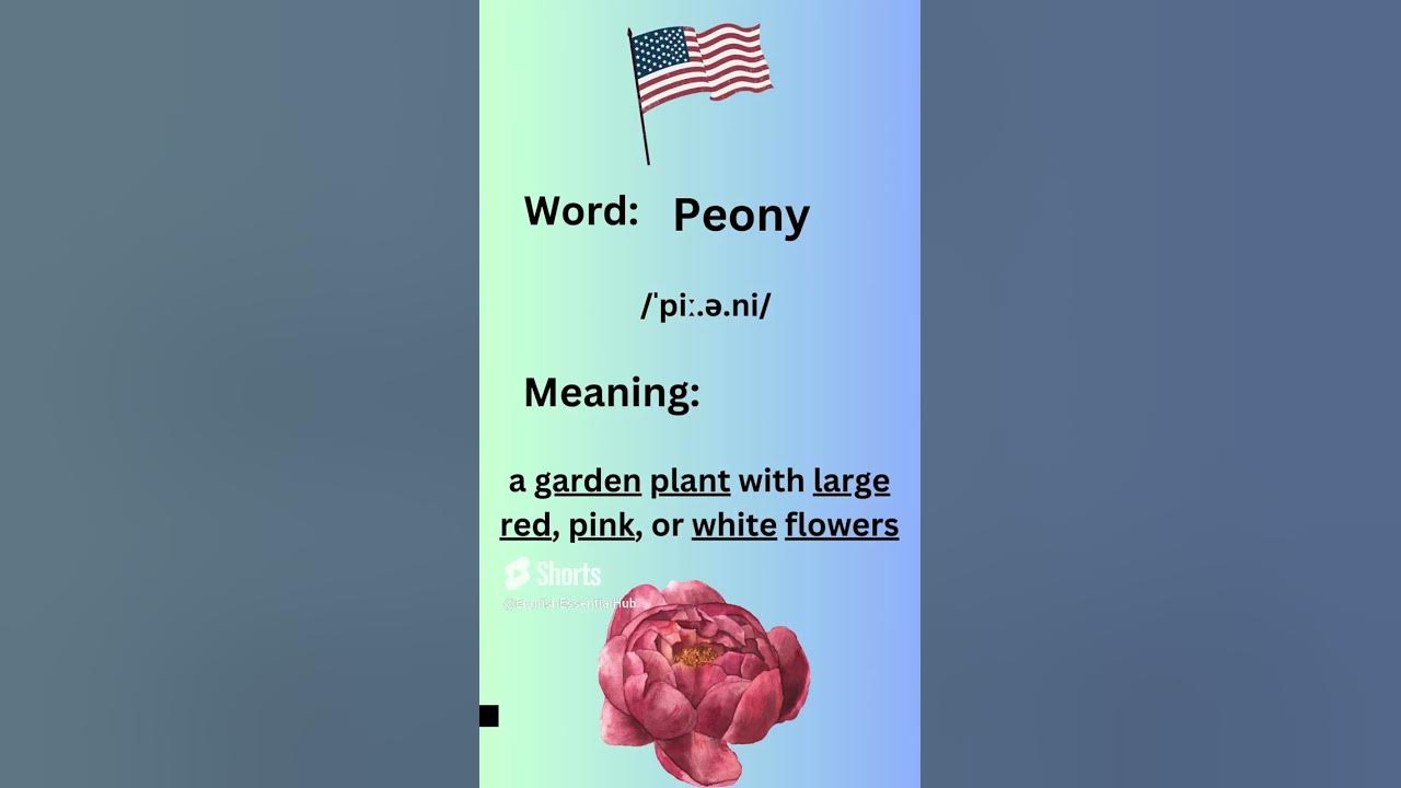 how-to-pronounce-peony-in-american-accent-learnenglish-learning-youtube