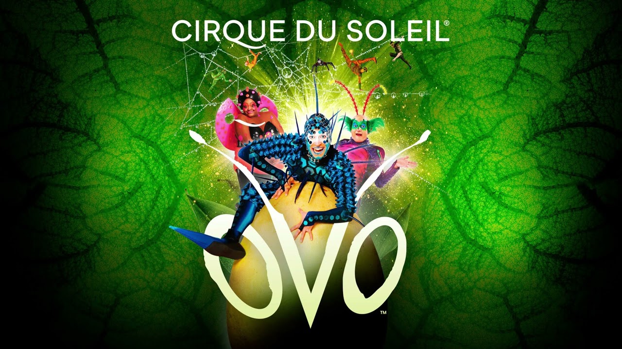 Le Saut des Puces - OVO