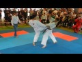 Ashihara vs kyokushinkai karate 2017. Ашихара ; киокушинкай каратэ.