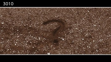 No Evolution Without a Future