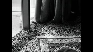 سورة نوح. الشيخ عبد الرحمن العوسى