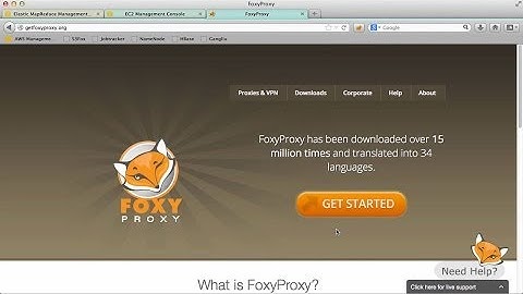 #1 FoxyProxy