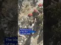 Fire in New Delhi kills more than 20 people | DW News