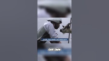 Living Among Goats: A Unique Perspective on Life