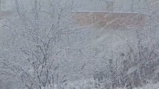 Thumbnail for “Në shkurt stuhi të forta ere dhe reshje bore”, Tanja Porja: Ky dimër do të konsiderohet i ngrohtë