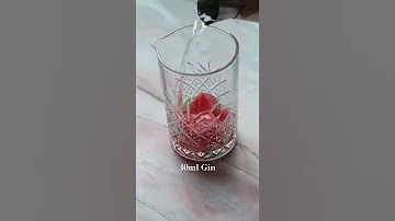 Watermelon Gin Cocktail 