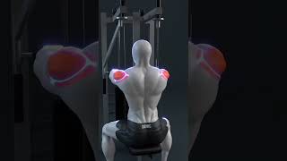 ❌ Rear Delt Fly Mistakes You Must Fix ✅