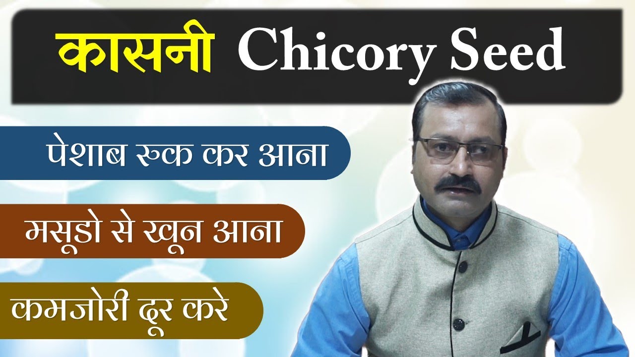 Kasni Seeds Benefits Chicory Seeds Benefits In Hindi Ayurved Shala kasni-seeds-benefits-chicory-seeds-benefits-in-hindi-ayurved-shala