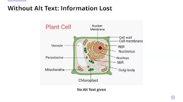 Accessibility - Working with Images