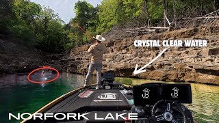 They CRUSHED This Color in Crystal Clear Water! (Anvil Jaw on Norfork Lake)