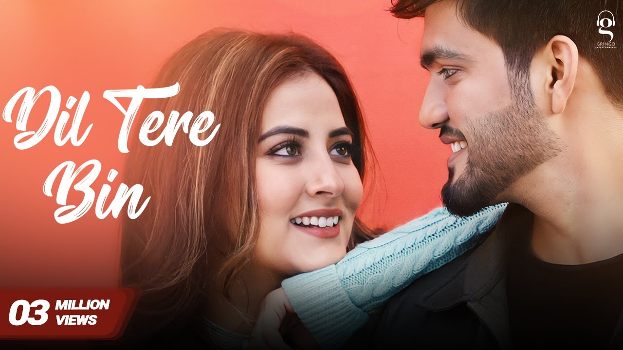 Dil Tere Bin
