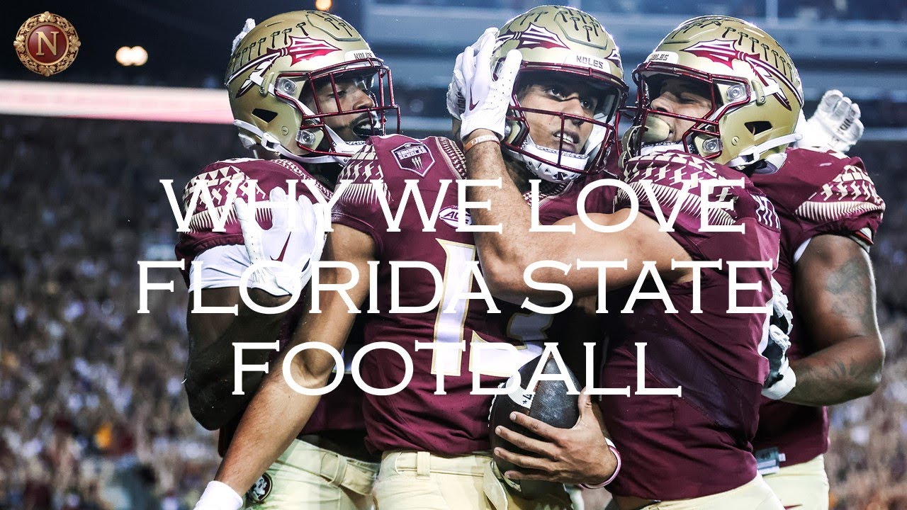 A vibrant image of Seminoles fans and players celebrating a victory