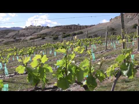 Mt. Difficulty Wines- Our Story - video from Mt Difficulty Wines