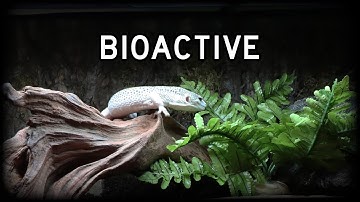 How I setup a Bioactive enclosure for my Leopard Gecko, Exo-Terra enclosure Part 1