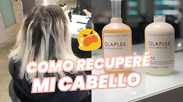 ¿Funciona mejor Olaplex en cabello húmedo o seco?