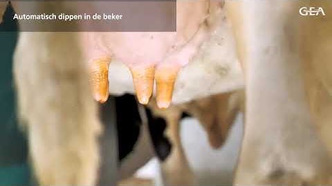 Robot udojowy GEA DairyRobot R9500