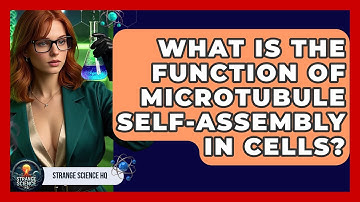 What Is The Function Of Microtubule Self-assembly In Cells? - Strange Science HQ