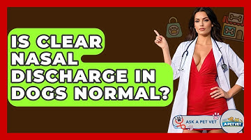 Is Clear Nasal Discharge In Dogs Normal? - Ask A Pet Vet