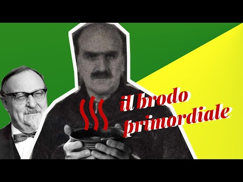 Video: Cos'è il brodo primordiale in biologia?