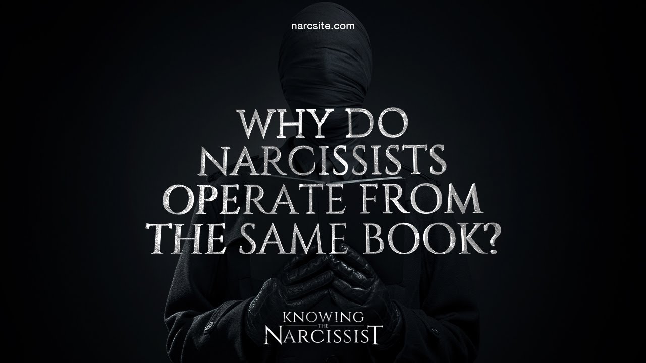How The Narcissist Evades When Questioned - HG Tudor - Knowing The  Narcissist - The World's No.1 Resource About Narcissism