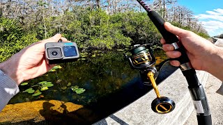 Florida Everglades Roadside Canal Fishing (Underwater)