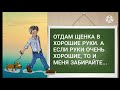 Бери бабу за 40. Прикольный анекдот дня!