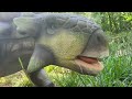 Hertfordshire Zoo