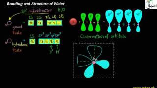 Bonding and Structure of Water, Chemistry Lecture | Sabaq.pk