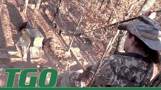 TGO | Wild Boar Spear Hunting Adventure TGO | Wild Boar Spear Hunting Adventure