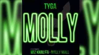Tyga - Molly (Bass Boosted & Clean Lyrics Edit by DJ Sideofrize) HD