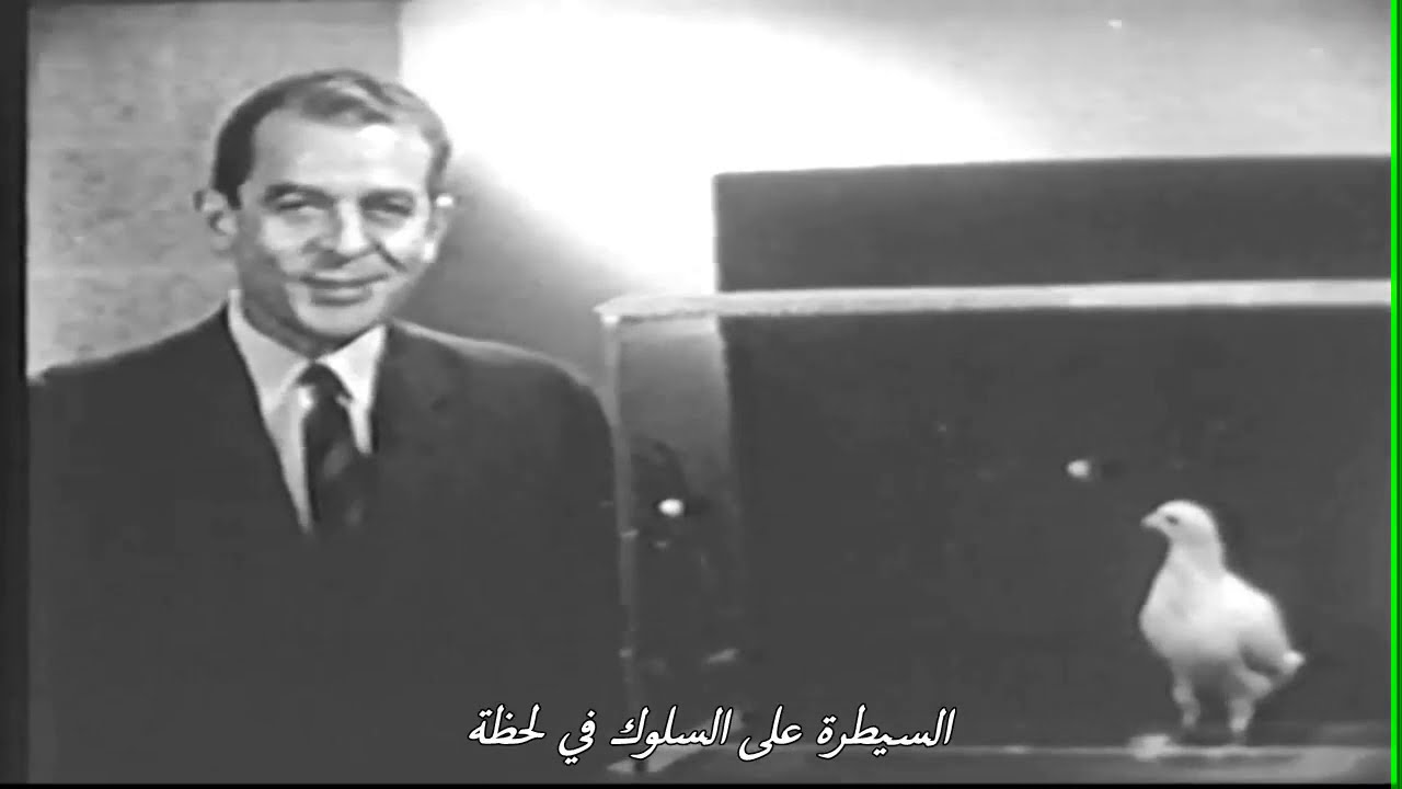 من الأرشيف مقابلة مع بورهوس فريديريك سكينر حول التعلم والسلوك سنة 1959 (تجربة الحمامة) مترجم